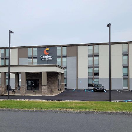 Comfort Inn & Suites Wyomissing-Reading エクステリア 写真