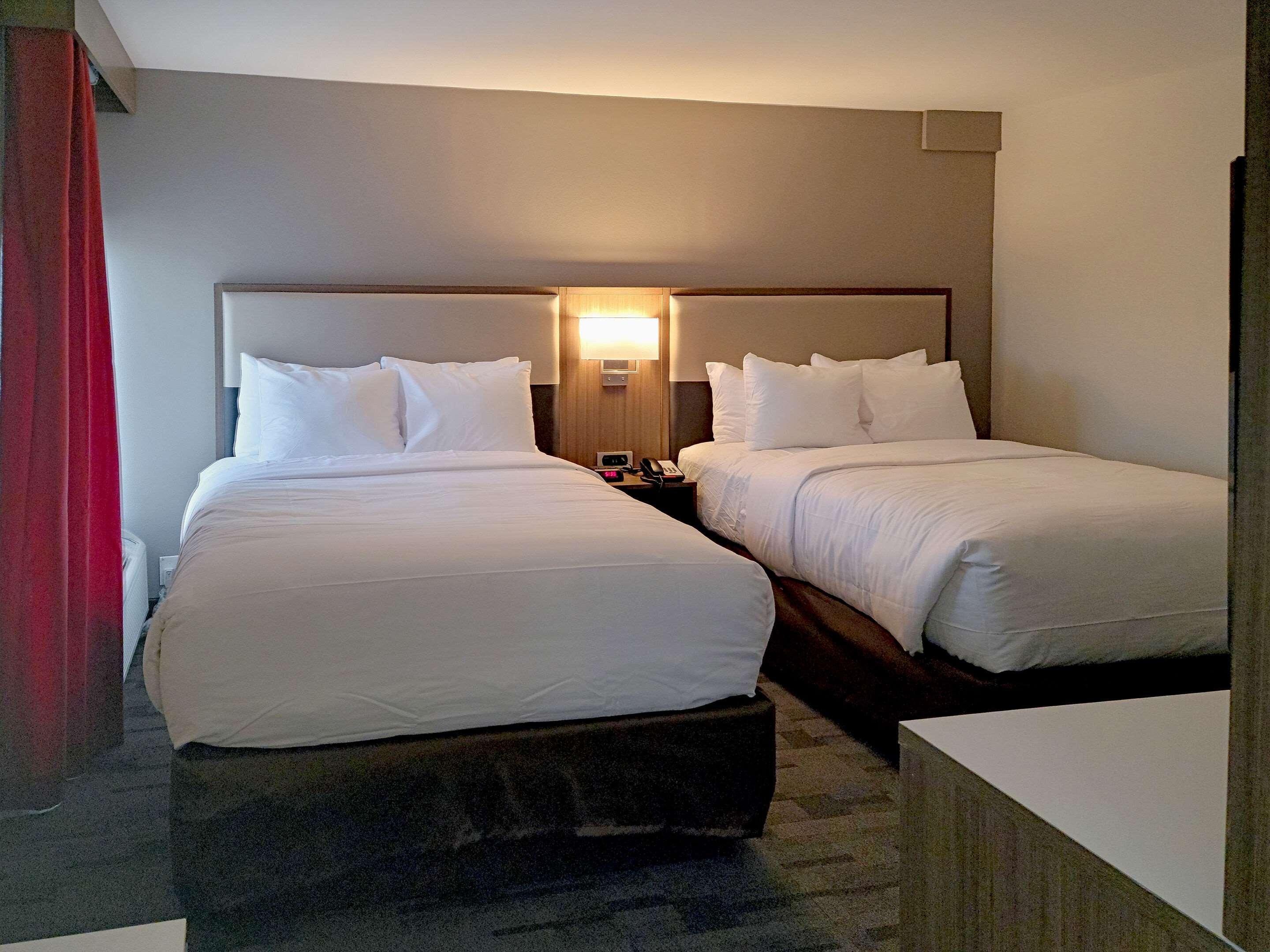 Comfort Inn & Suites Wyomissing-Reading エクステリア 写真