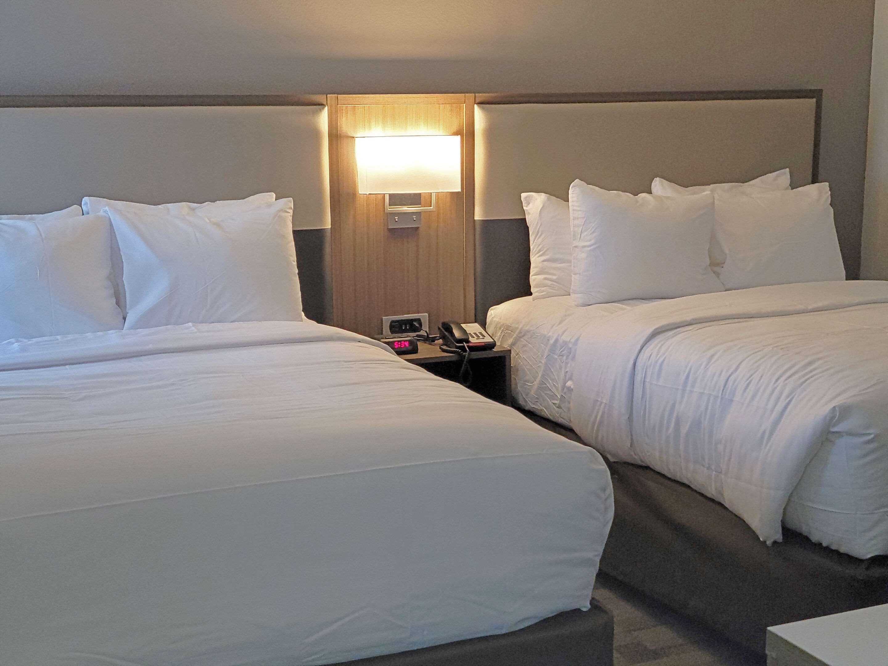 Comfort Inn & Suites Wyomissing-Reading エクステリア 写真